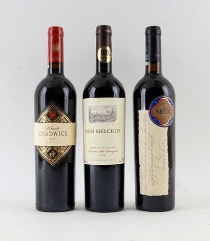 Vinedo Chadwick 2018
Maipo Valley
Niveau...