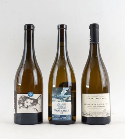 Chablis 1er Cru Butteaux 2017
Chablis 1er...