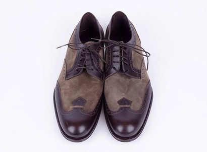 LOUIS VUITTON
Paire de derby bimatière en...