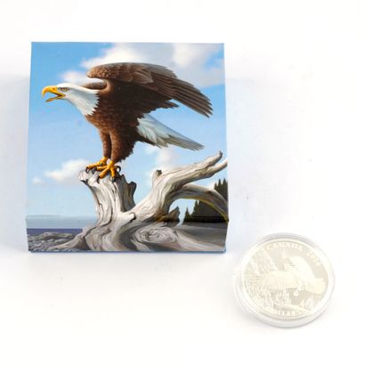 100$ CANADA 2014 / 0.999 SILVER
Une pièce...