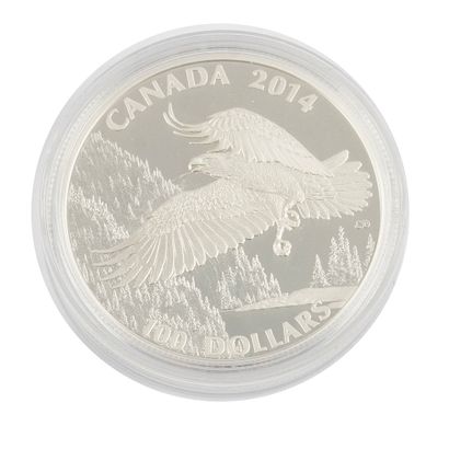 100$ CANADA 2014 / 0.999 SILVER
Une pièce...