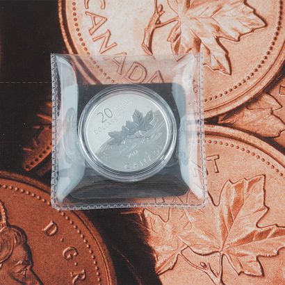 20$ CANADA / 0.999 SILVER
Lot de 3 pièces...