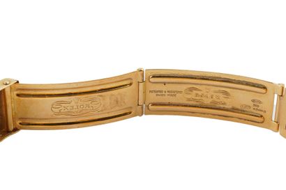 ROLEX OYSTER PERPETUAL
Montre Rolex Oyster...