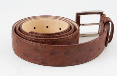 DILUCIO 
Ceinture en cuir d'autruche brune....