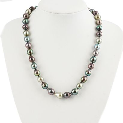 PERLES TAHITI / TAHITI PEARLS
Ensemble composé...