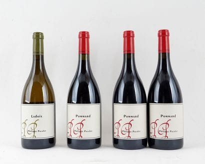 Ladoix 2018 Pommard 2019, 2020, Philippe...