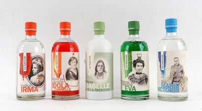 Les Subversifs Irma vodka
Niveau A
1 bouteille

Les...