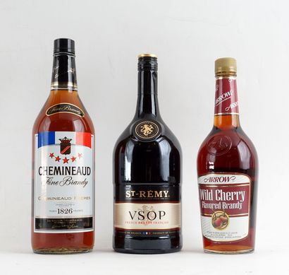Chemineaud Fine Brandy
Niveau A
1 bouteille

St-Rémy...
