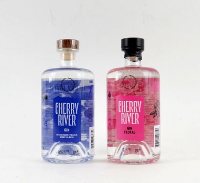 Cherry River gin petits fruits et basilic...