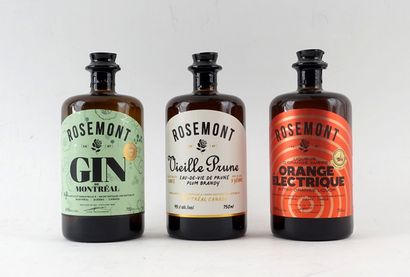 Rosemont gin de Montréal 
Niveau A
1 bouteille...