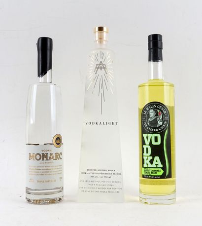 Distillerie Wabasso Monarc par Radnor vodka...