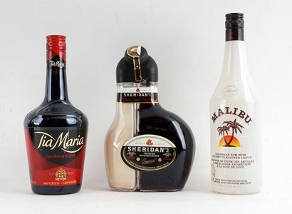 Tia Maria
Niveau A
1 bouteille

Sheridan's...