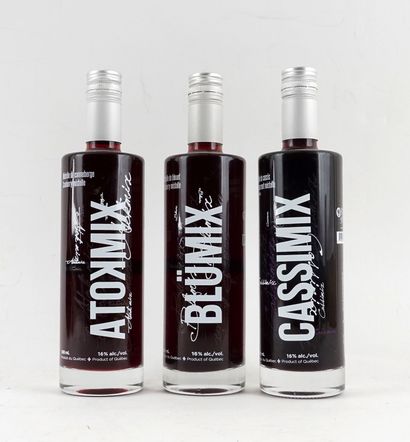 La Vallée Bleue ATOKMIX Liqueur de canneberge
Niveau...
