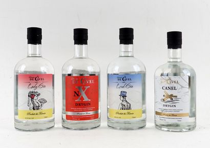 Domaine de Cavel Lady Gin dry gin 
Niveau...