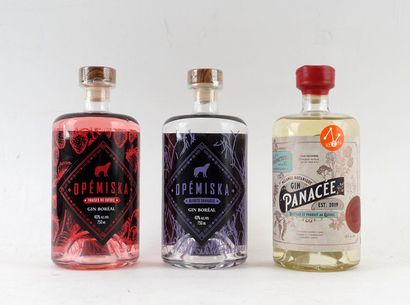 Opémiska Boréal Fraises dry gin aromatisé...
