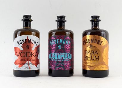 Vodka Rosemont 
Catégorie A
1 bouteille 

Spiritueux...