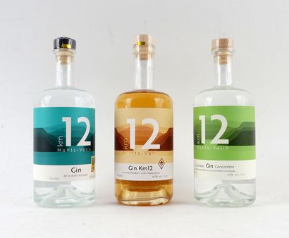 Distillerie du Fjord km12 gin de la forêt...