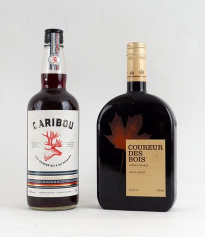 Caribou
Niveau A
1 bouteille

Coureur des...