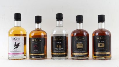 Domaine de Cavel Élixir des fées, gin
Niveau...