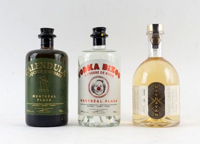 Montréal Plaza Calendul liqueur d'herbe
Niveau...