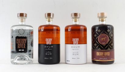 Cherry River dry gin 
Niveau B 
1 bouteille...