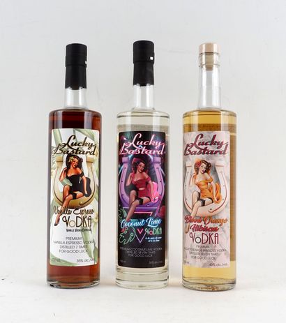 Lucky Bastard vodka vanille espresso 
Niveau...