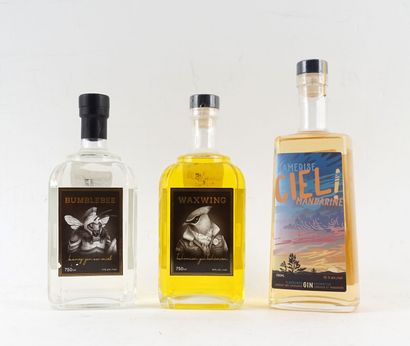 Artist in Residence Bumblebee gin au miel...