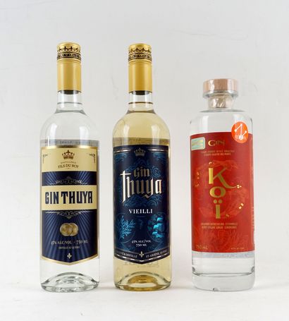 Distillerie Fils du Roy Thuya dry gin
Niveau...
