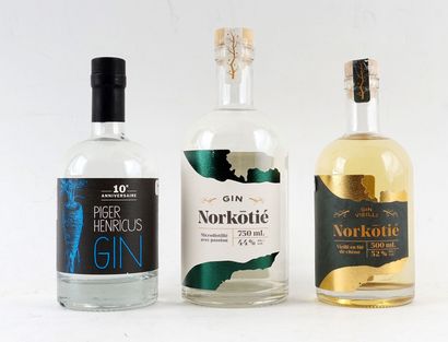 Les Subversifs Piger Henricus dry gin
Niveau...