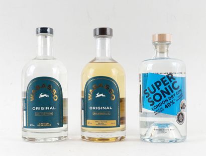 Distillerie Wabasso gin premium
Niveau B
1...