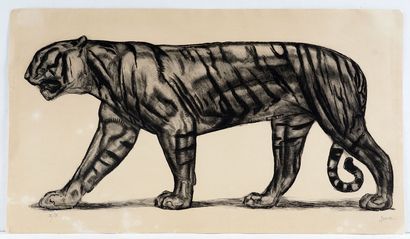 JOUVE, Paul (1878-1973) 
Tigre
Lithographi
Signed...