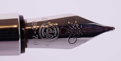 CARAN D'ACHE “VARIUS METWOOD” FOUNTAIN PEN
Caran...
