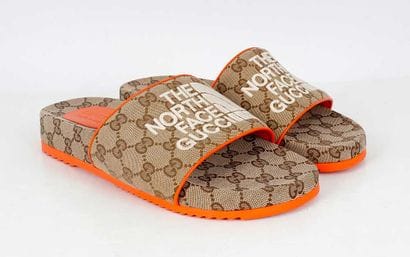 GUCCI X THE NORTH FACE
GG monogram brown...