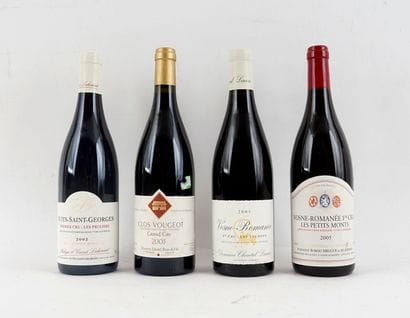 Nuits-Saint-Georges 1er Cru Les Pruliers...