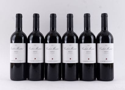 Domenico Clerico Ciabot Mentin 2010
Barolo...