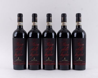 Marchesi Antinori Pian delle Vigne 2013
Brunello...