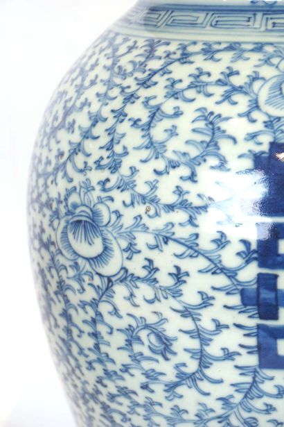 POTS À GINGEMBRE CHINOIS, fin XIXe

Paire...