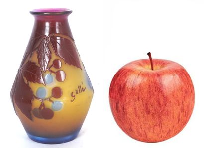 Émile GALLÉ (1846-1904) 

Vase en pâte de...