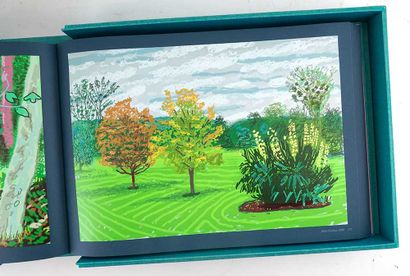 HOCKNEY, David (1937-)
