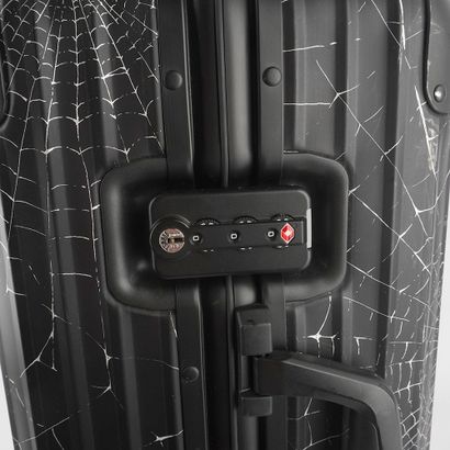 RIMOWA X SUPREME SPIDER WEB
Valise Rimova...