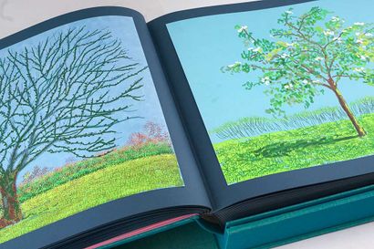 HOCKNEY, David (1937-)
