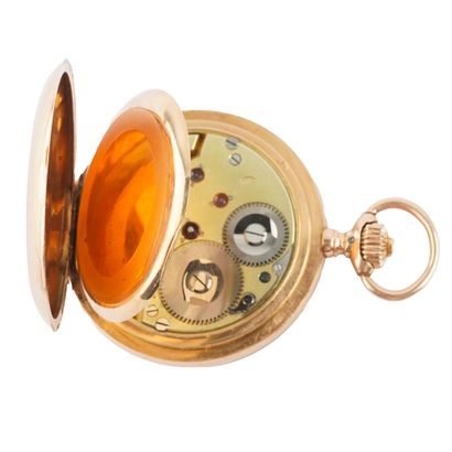 INTERNATIONAL WATCH Co
Montre à gousset International...