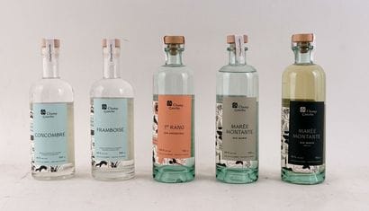 Distillerie Fils du Roy Champ Gauche Concombre...
