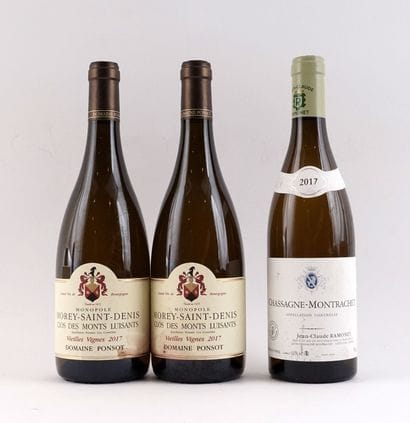 Morey-Saint-Denis Clos des Monts Luisants...