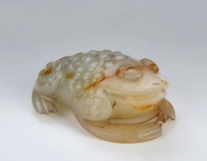PETIT CRAPAUD CÉLESTE À TROIS PATTES EN ...