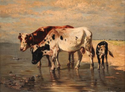 SCHOUTEN, Paul (1860-1922)
Vaches Huile sur...