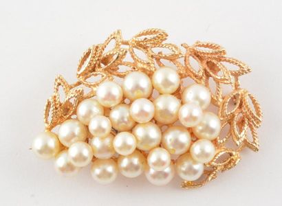 OR 14K ET PERLES *Broche en or jaune 14K...