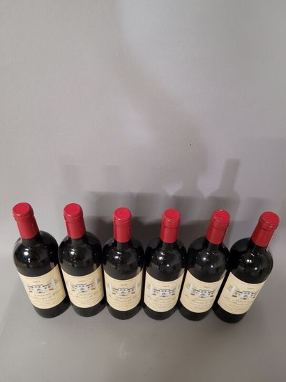 6 blles Ch. LES LANDES DE CACH Pauillac 2003...