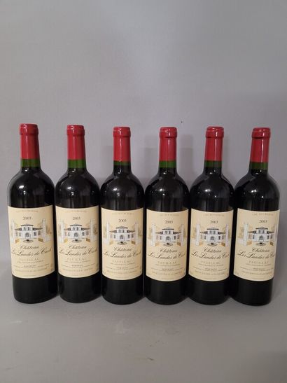 6 blles Ch. LES LANDES DE CACH Pauillac 2003...