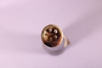 1 blle WORMELDANGE KOEPPCHEN Riesling 1967...